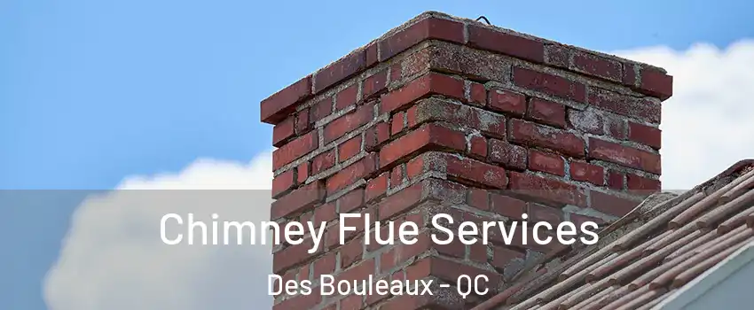  Chimney Flue Services Des Bouleaux - QC