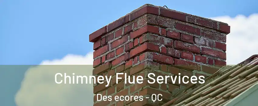  Chimney Flue Services Des ecores - QC