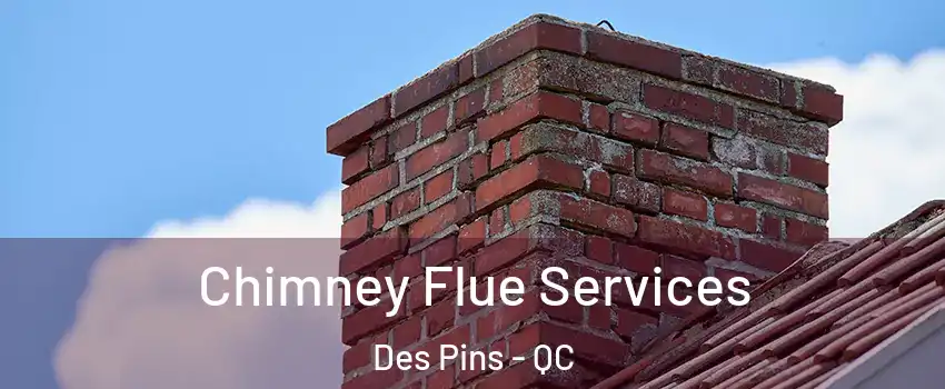  Chimney Flue Services Des Pins - QC