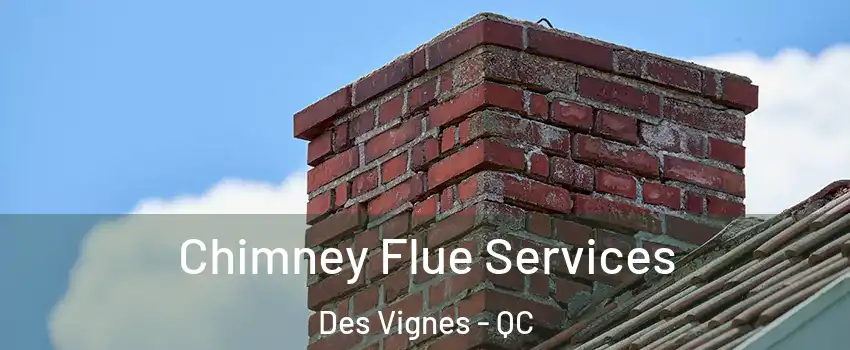 Chimney Flue Services Des Vignes - QC