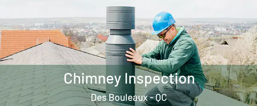  Chimney Inspection Des Bouleaux - QC
