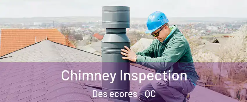  Chimney Inspection Des ecores - QC