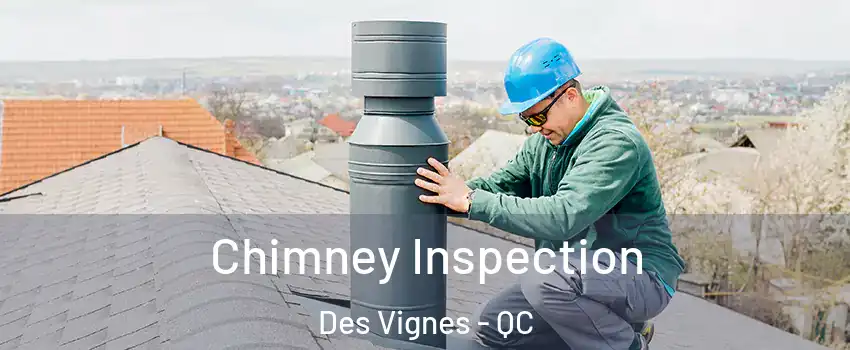  Chimney Inspection Des Vignes - QC