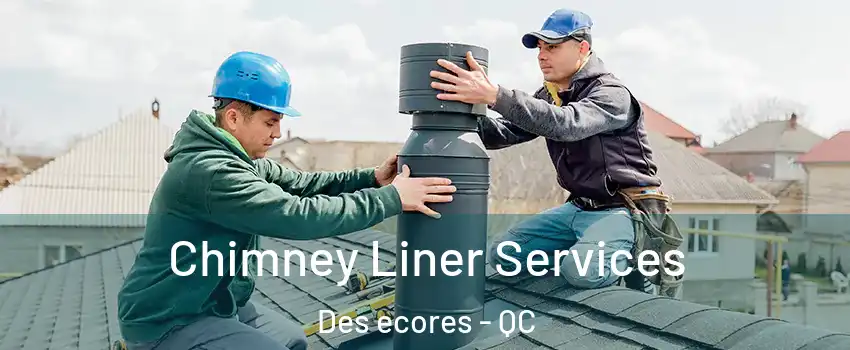  Chimney Liner Services Des ecores - QC