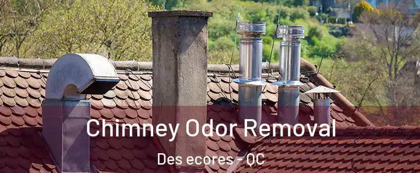  Chimney Odor Removal Des ecores - QC