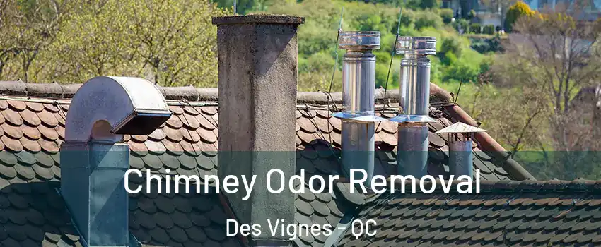  Chimney Odor Removal Des Vignes - QC