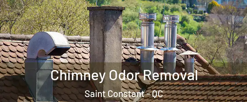  Chimney Odor Removal Saint Constant - QC