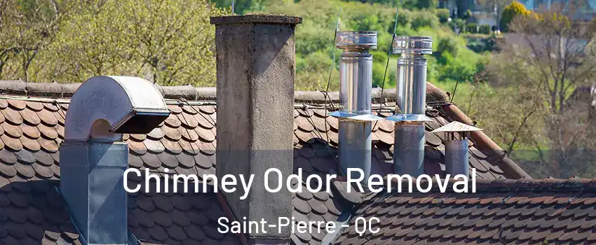 Chimney Odor Removal Saint-Pierre - QC