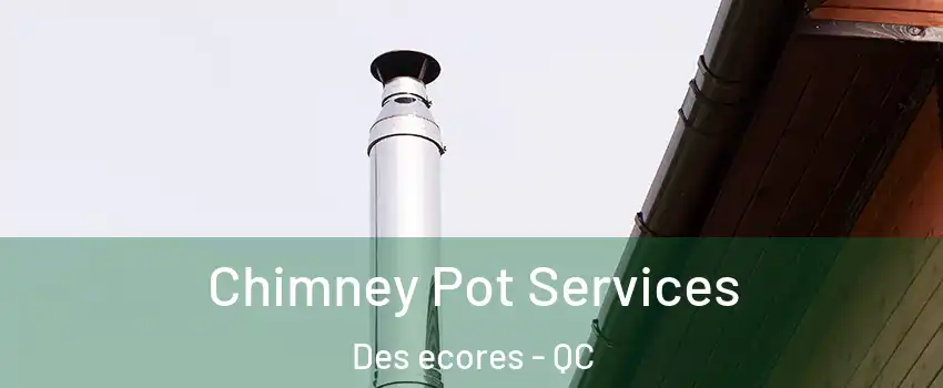  Chimney Pot Services Des ecores - QC