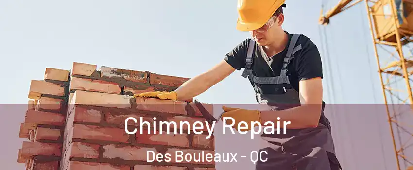  Chimney Repair Des Bouleaux - QC