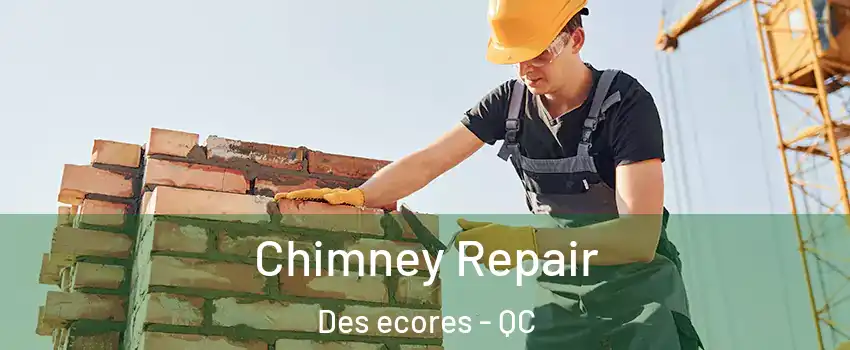  Chimney Repair Des ecores - QC
