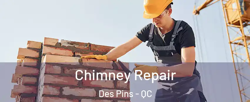  Chimney Repair Des Pins - QC