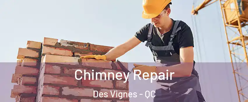  Chimney Repair Des Vignes - QC