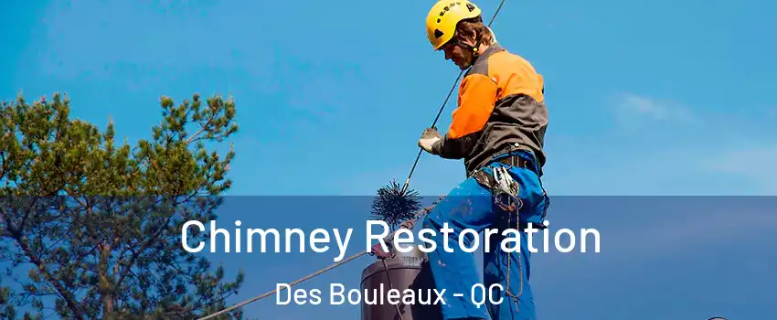  Chimney Restoration Des Bouleaux - QC