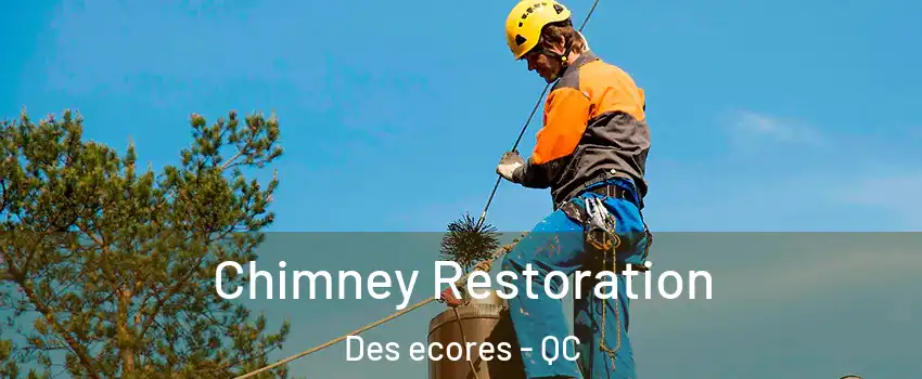  Chimney Restoration Des ecores - QC