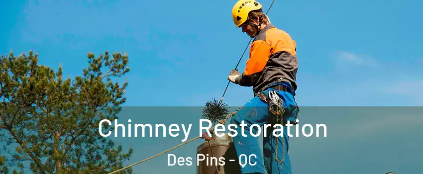  Chimney Restoration Des Pins - QC