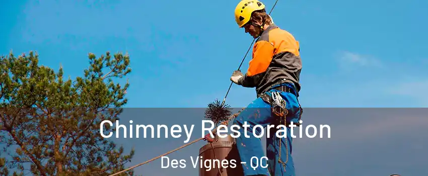  Chimney Restoration Des Vignes - QC