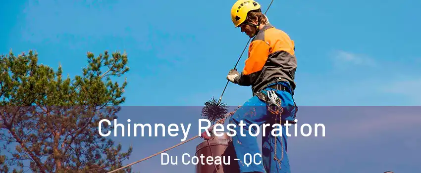  Chimney Restoration Du Coteau - QC