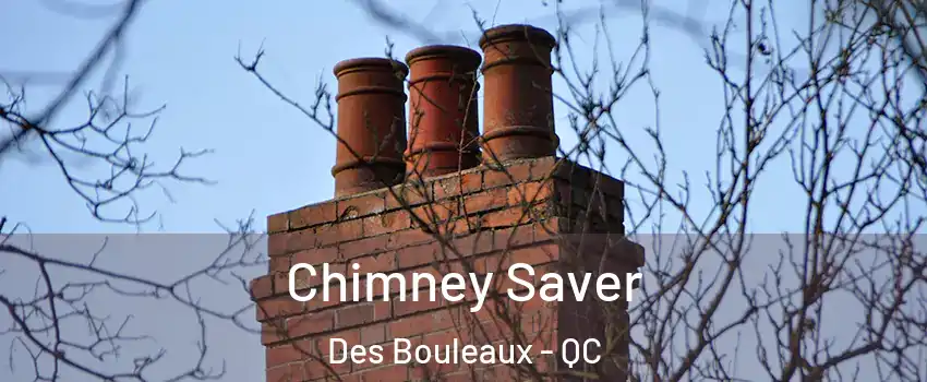  Chimney Saver Des Bouleaux - QC