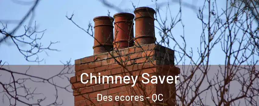  Chimney Saver Des ecores - QC