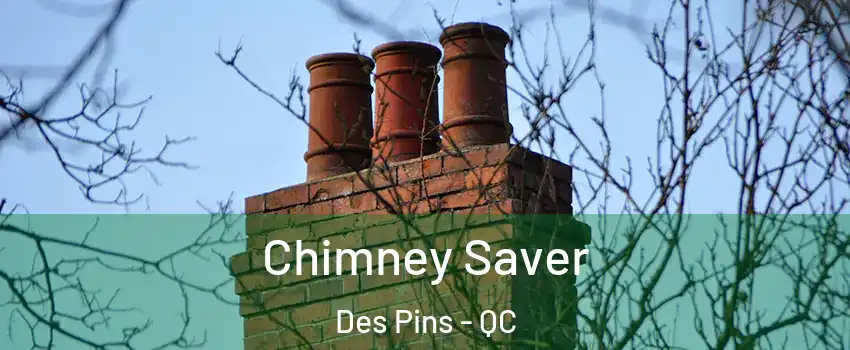  Chimney Saver Des Pins - QC
