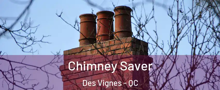  Chimney Saver Des Vignes - QC