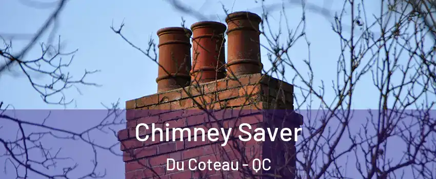  Chimney Saver Du Coteau - QC