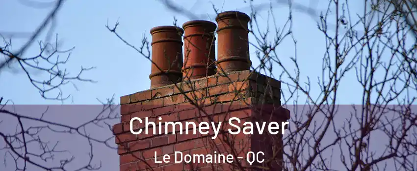  Chimney Saver Le Domaine - QC