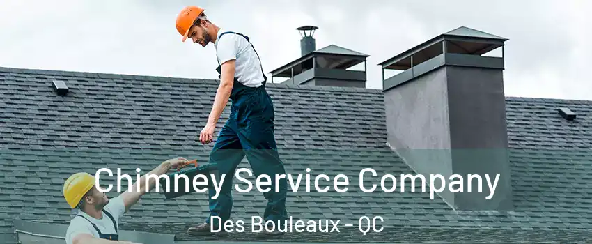  Chimney Service Company Des Bouleaux - QC