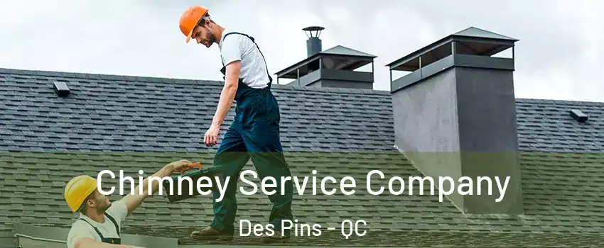  Chimney Service Company Des Pins - QC