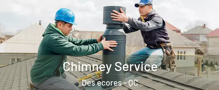  Chimney Service Des ecores - QC