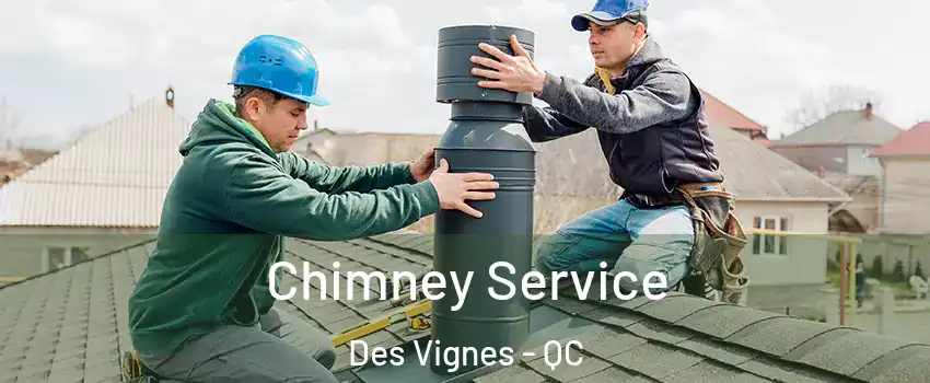  Chimney Service Des Vignes - QC