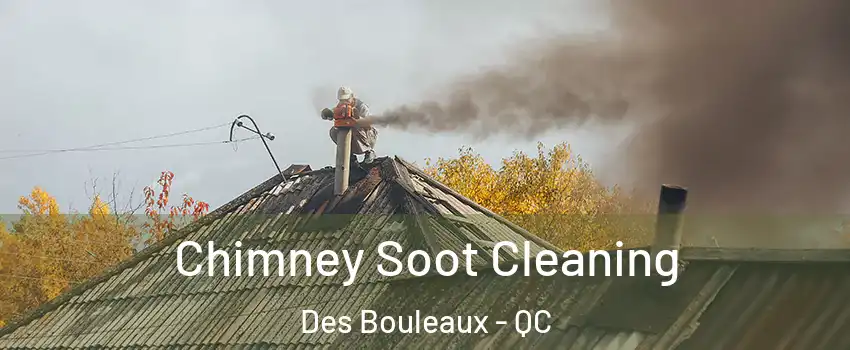  Chimney Soot Cleaning Des Bouleaux - QC