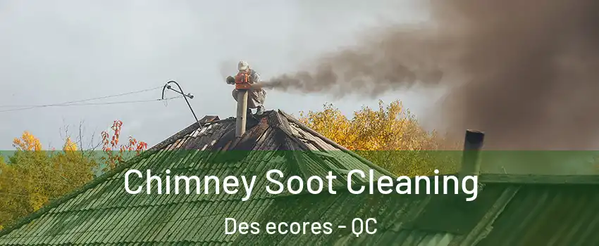  Chimney Soot Cleaning Des ecores - QC