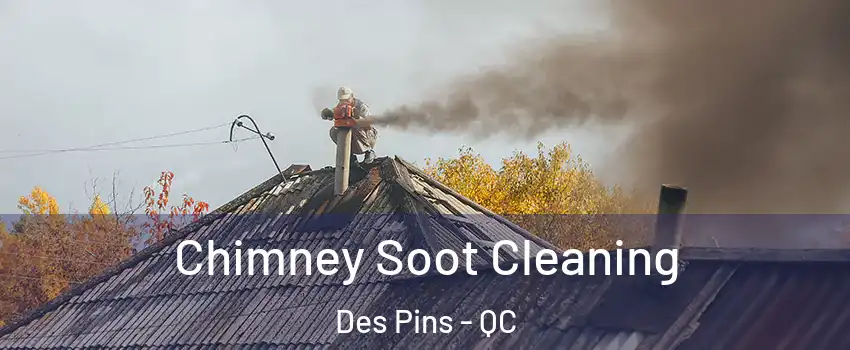  Chimney Soot Cleaning Des Pins - QC