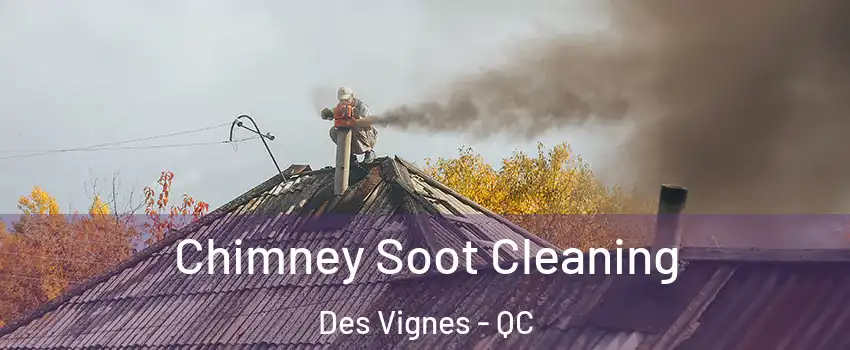  Chimney Soot Cleaning Des Vignes - QC