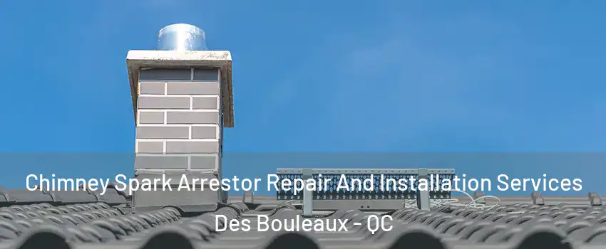  Chimney Spark Arrestor Repair And Installation Services Des Bouleaux - QC