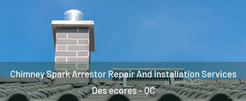  Chimney Spark Arrestor Repair And Installation Services Des ecores - QC
