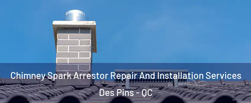  Chimney Spark Arrestor Repair And Installation Services Des Pins - QC