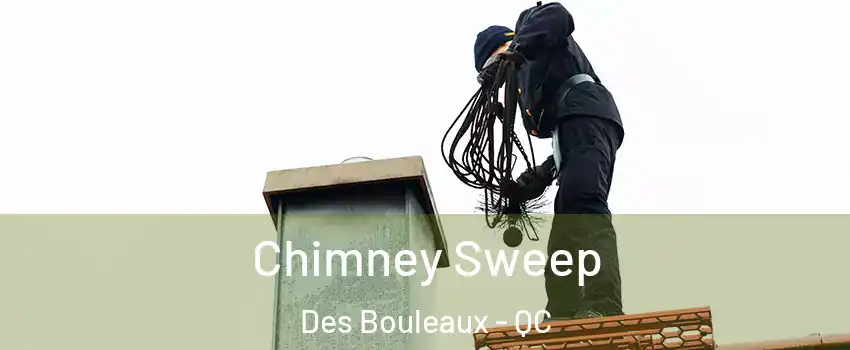  Chimney Sweep Des Bouleaux - QC