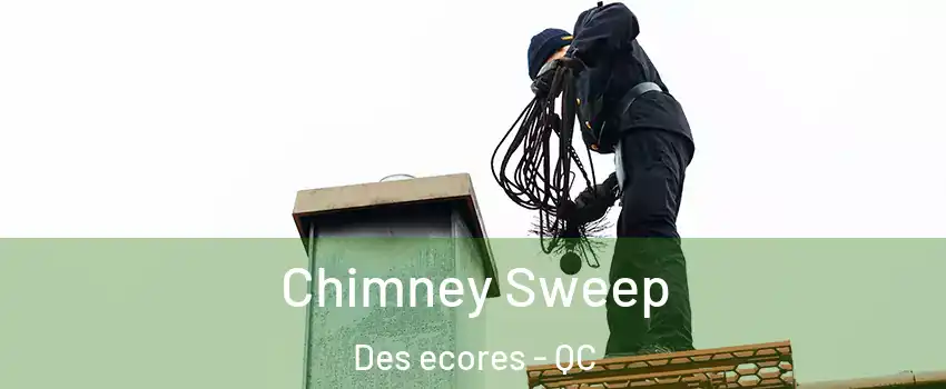  Chimney Sweep Des ecores - QC