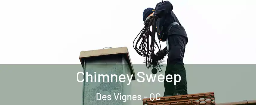  Chimney Sweep Des Vignes - QC