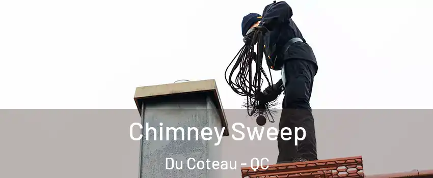  Chimney Sweep Du Coteau - QC