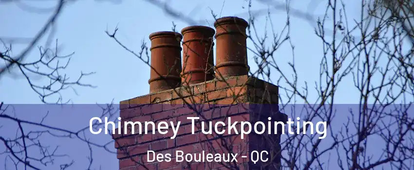  Chimney Tuckpointing Des Bouleaux - QC