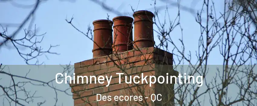 Chimney Tuckpointing Des ecores - QC