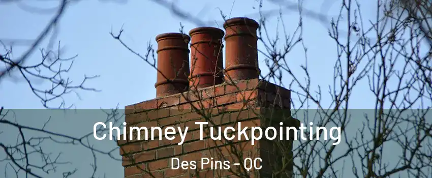  Chimney Tuckpointing Des Pins - QC