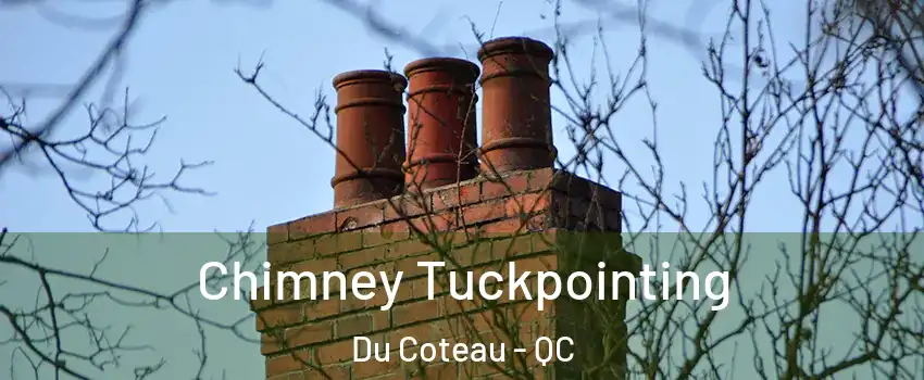  Chimney Tuckpointing Du Coteau - QC