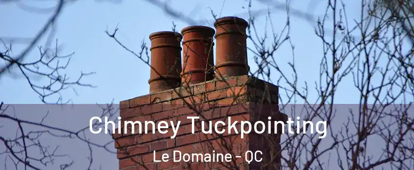  Chimney Tuckpointing Le Domaine - QC