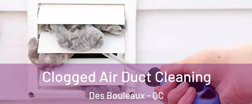  Clogged Air Duct Cleaning Des Bouleaux - QC