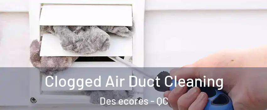  Clogged Air Duct Cleaning Des ecores - QC